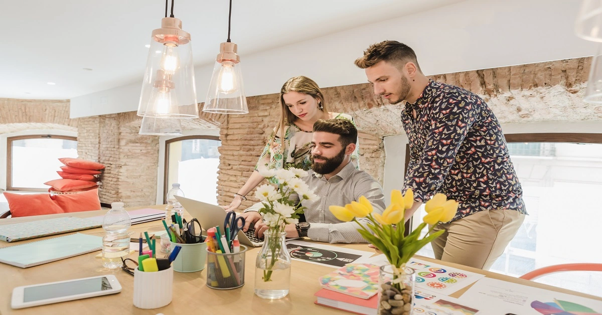 decoratoradvice .com about