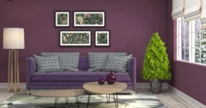 latest news decoratoradvice.com